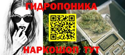 эйфоретик Камышлов