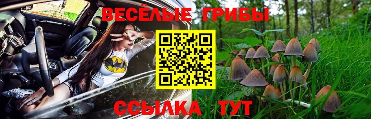 Галлюциногенные грибы Magic Shrooms  Вход с VPN  Люберцы  Галлюциногенные грибы прущие грибы 